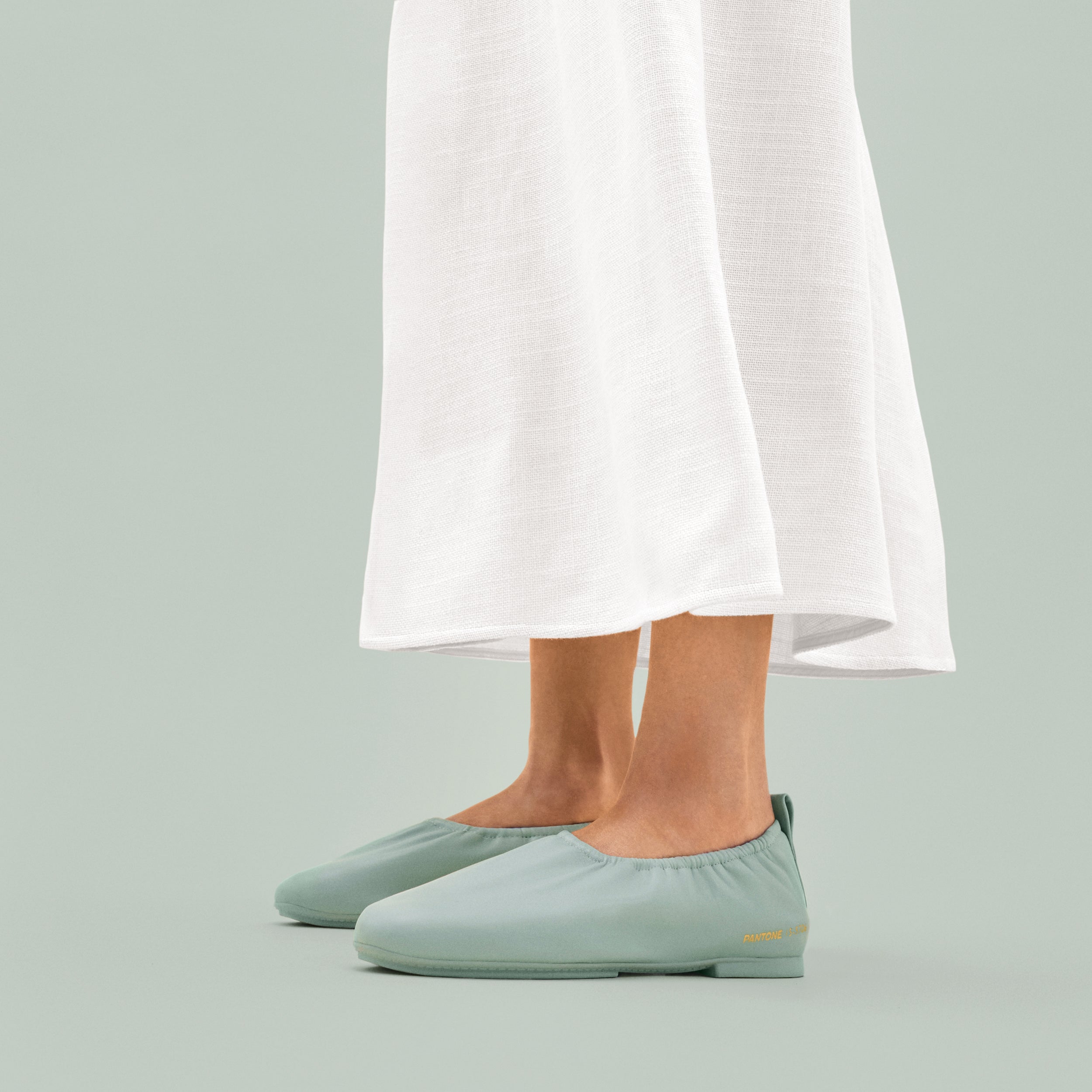 Delicato Poise Ballerinas
