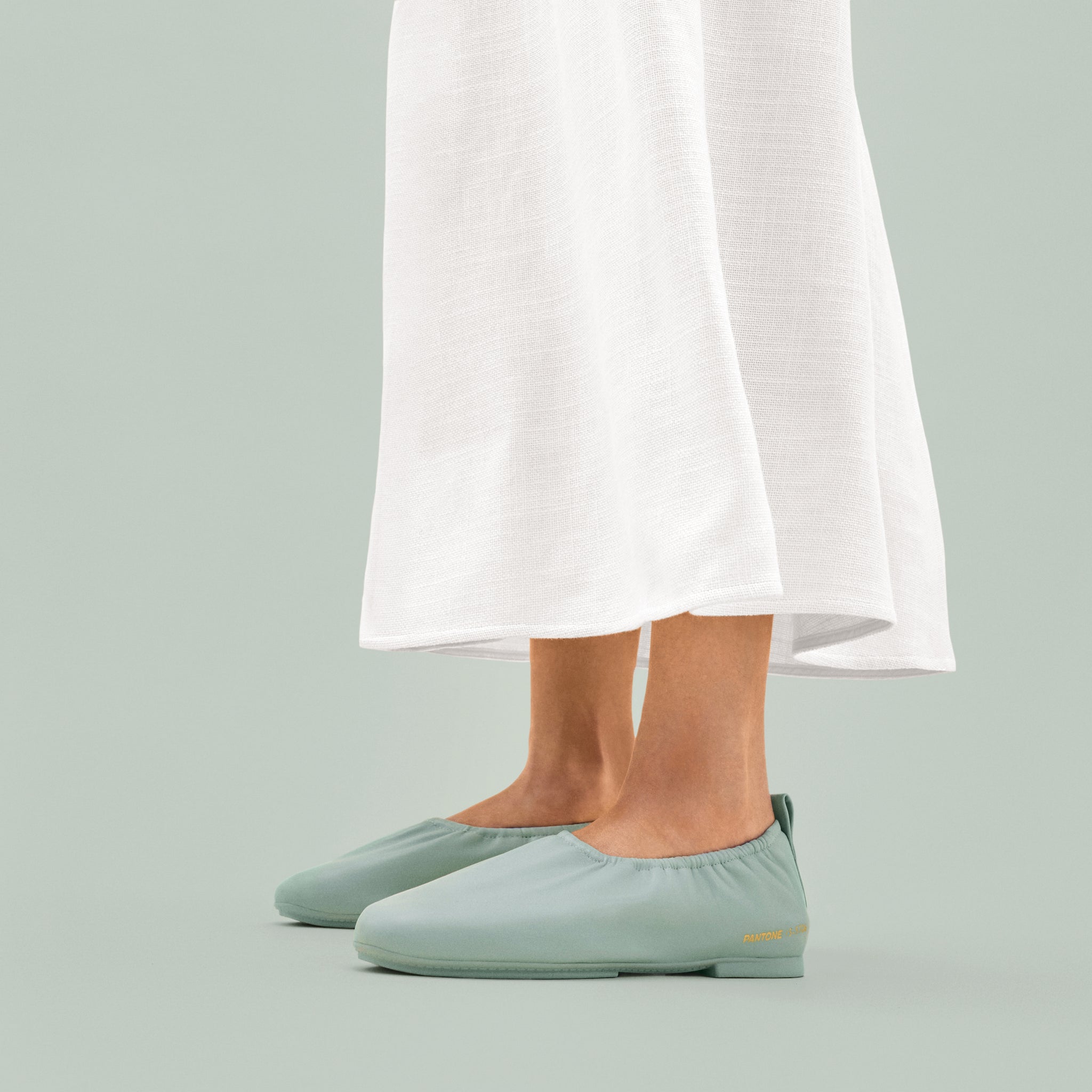 Delicato Poise Ballerinas