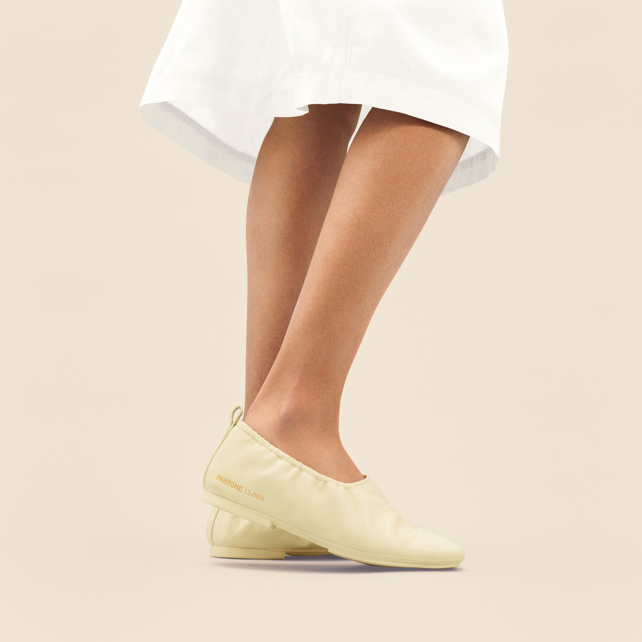 Delicato Poise Ballerinas